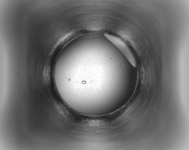 X0000086970400200704301302