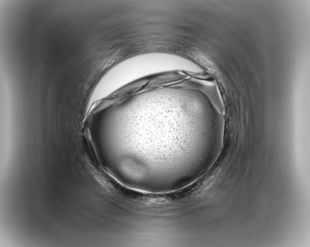 X0000086970401200704301302