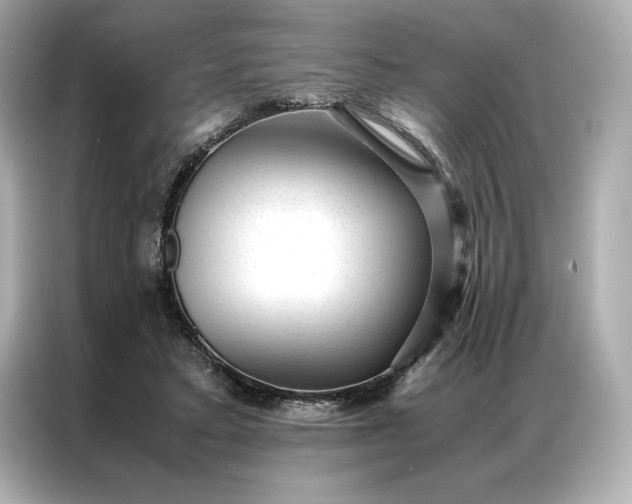 X0000086970403200704301302