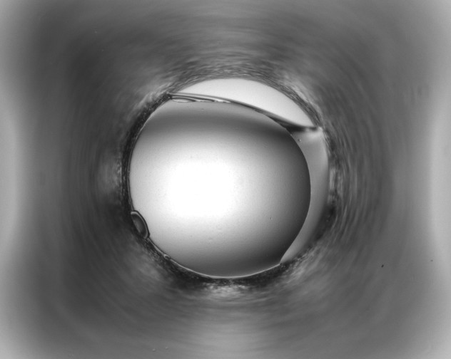 X0000086970407200704301301