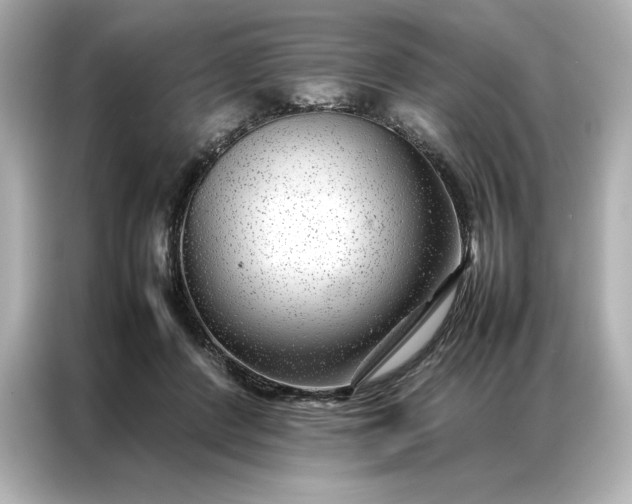 X0000086970408200704301301