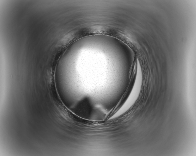 X0000086970413200704301301