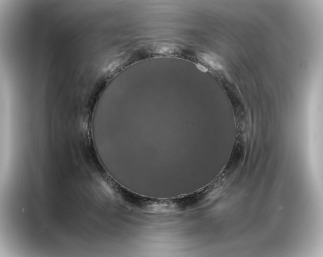 X0000086970415200704301301