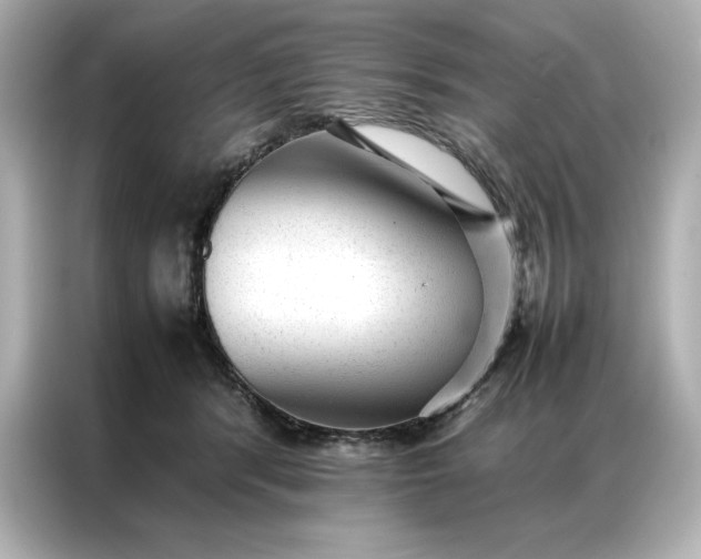 X0000086970416200704301301