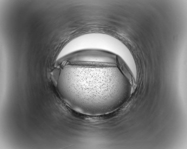 X0000086970417200704301301