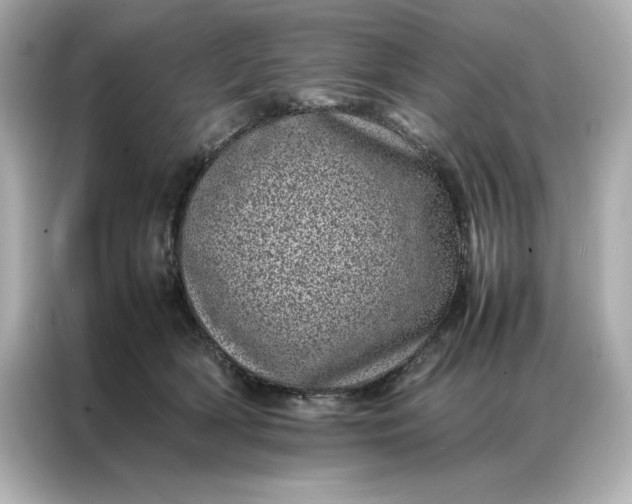 X0000086970418200704301301