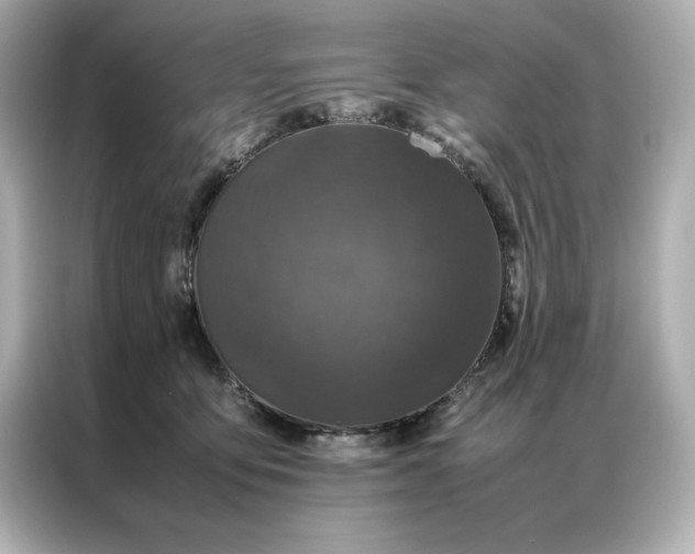 X0000086970419200704301301