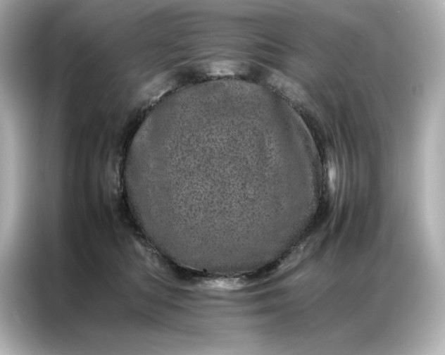 X0000086970422200704301301