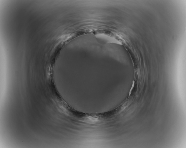 X0000086970423200704301301