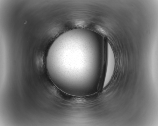 X0000086970424200704301301