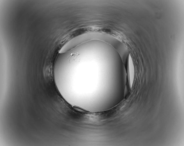 X0000086970425200704301301