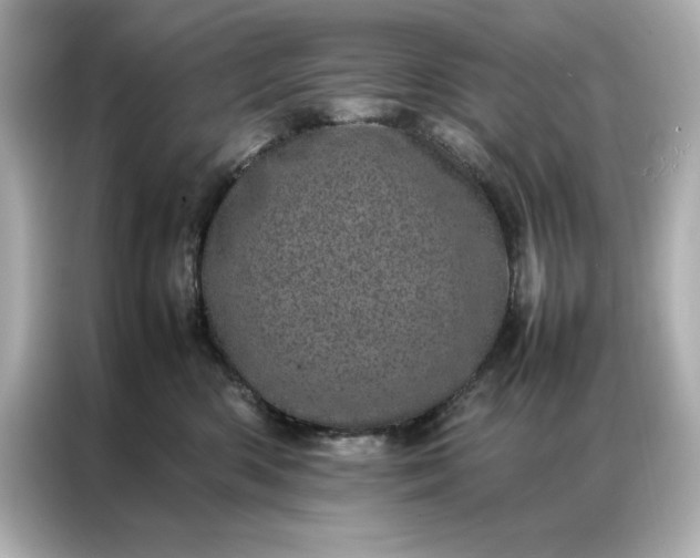 X0000086970426200704301301