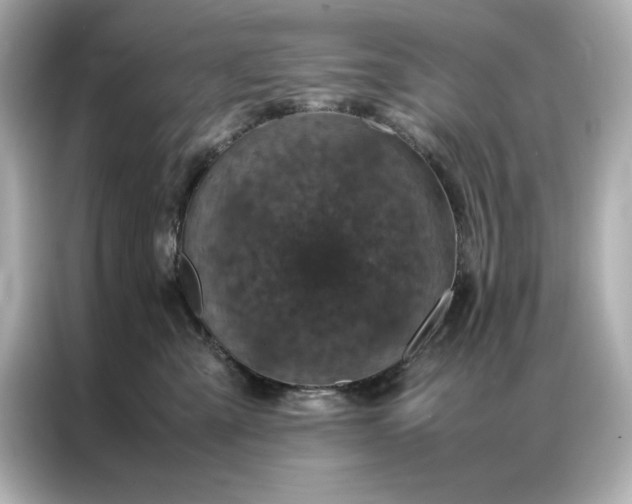 X0000086970427200704301301