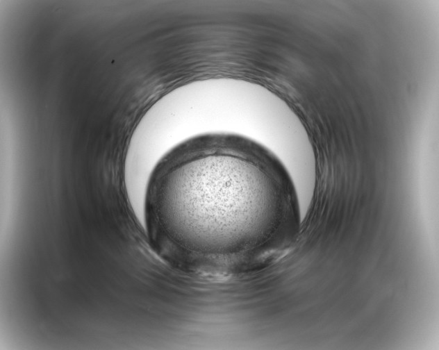 X0000086970428200704301301