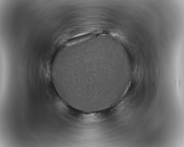 X0000086970430200704301301