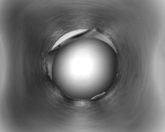 X0000086970432200704301301