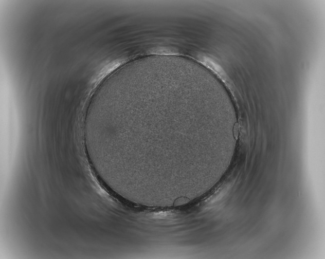 X0000086970433200704301301