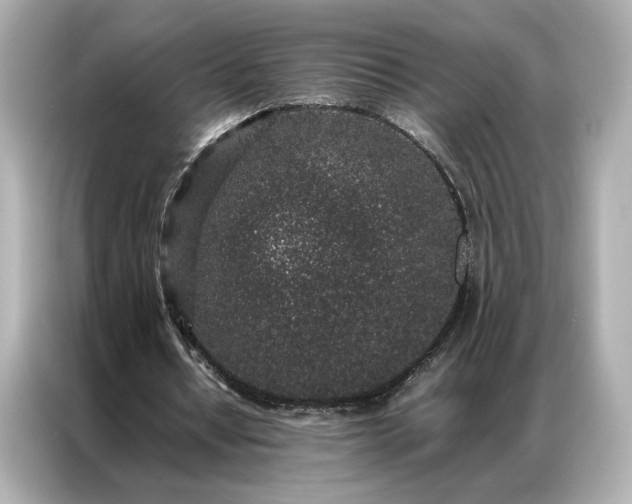 X0000086970434200704301301