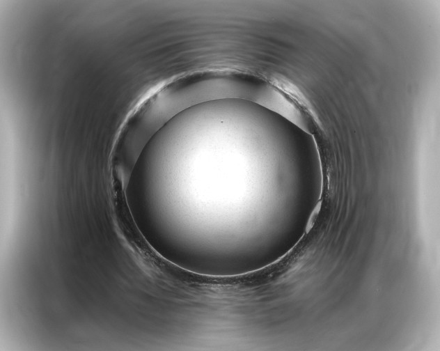 X0000086970436200704301301