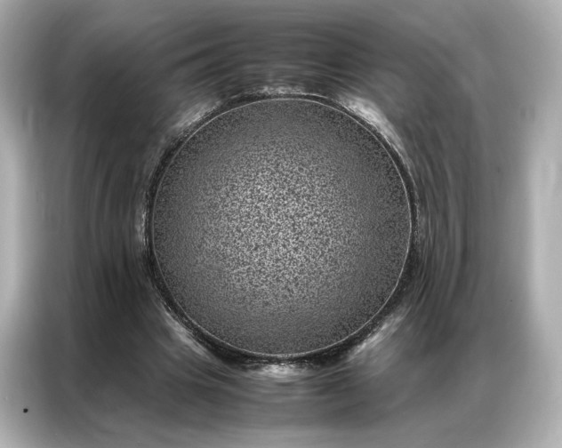 X0000086970441200704301301