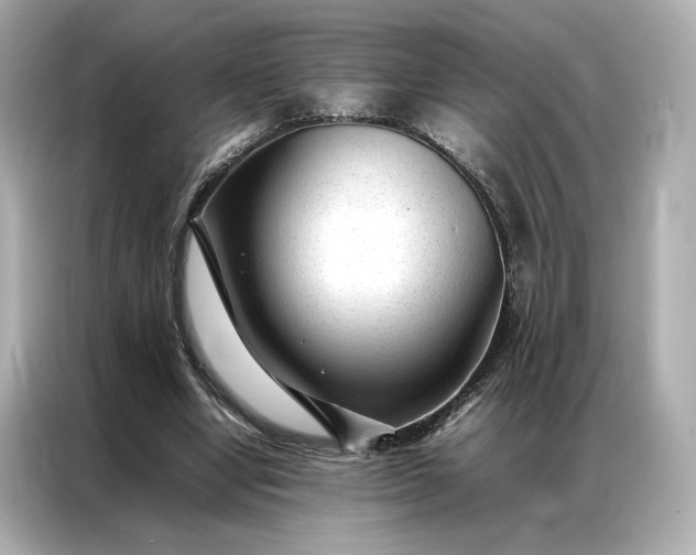 X0000086970442200704301301