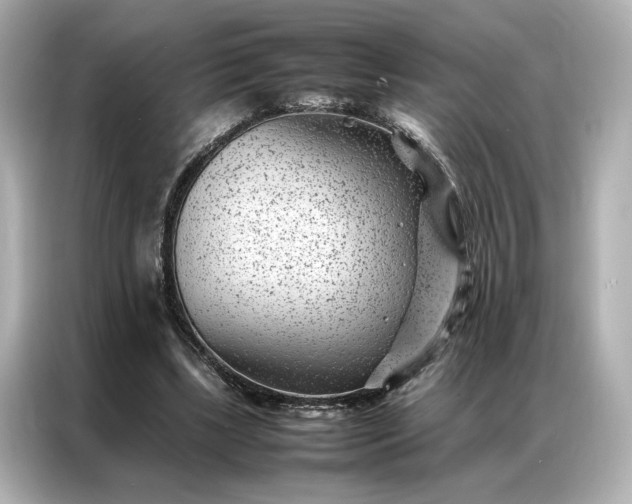 X0000086970443200704301301