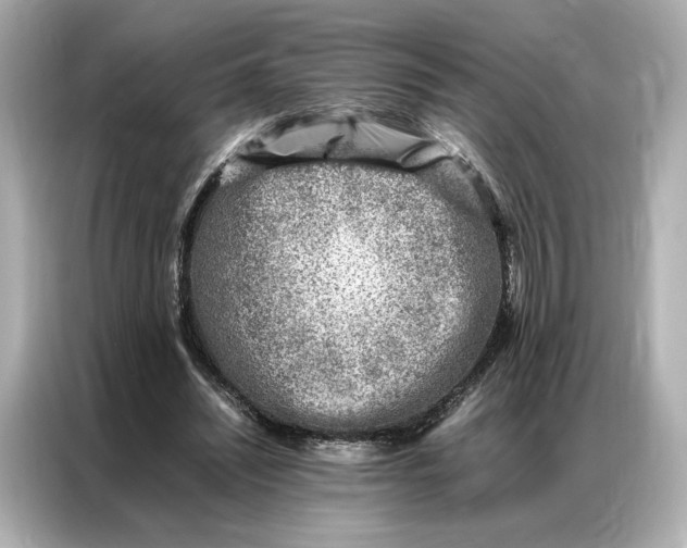 X0000086970444200704301301