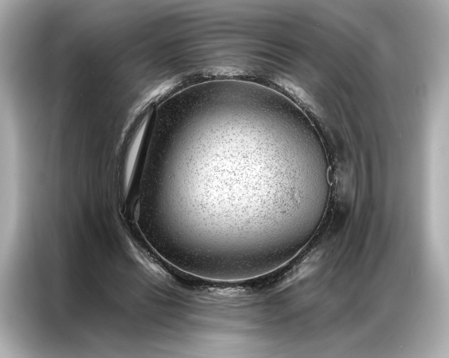 X0000086970446200704301301