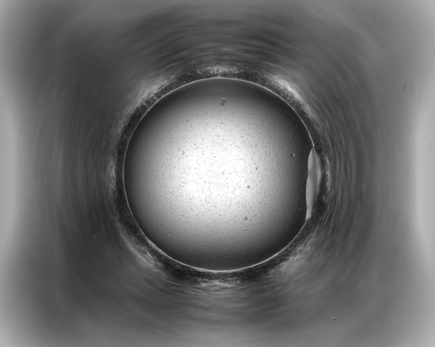 X0000086970447200704301301