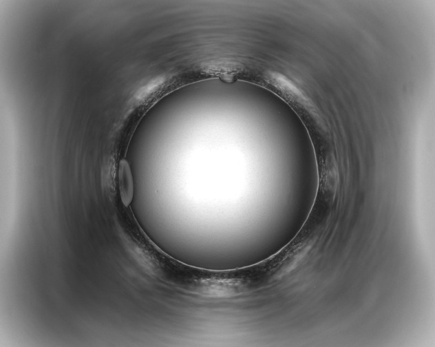 X0000086970448200704301301