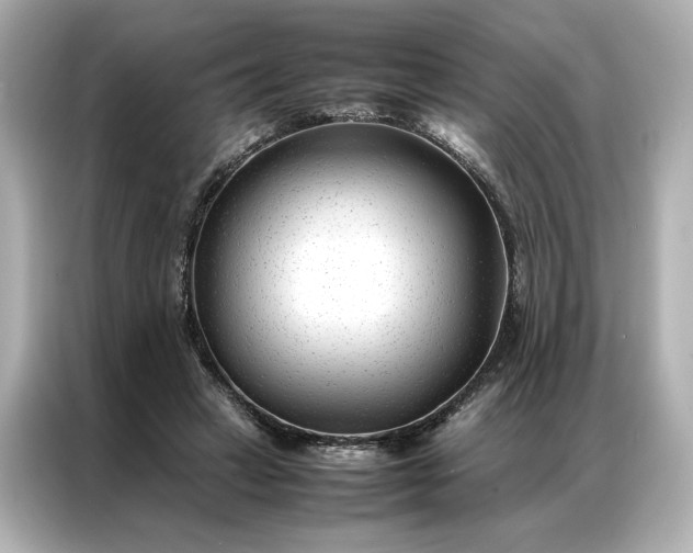 X0000086970449200704301301