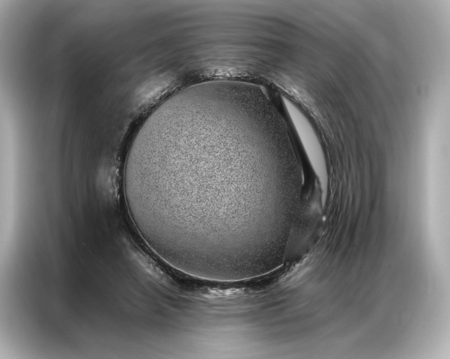 X0000086970450200704301301