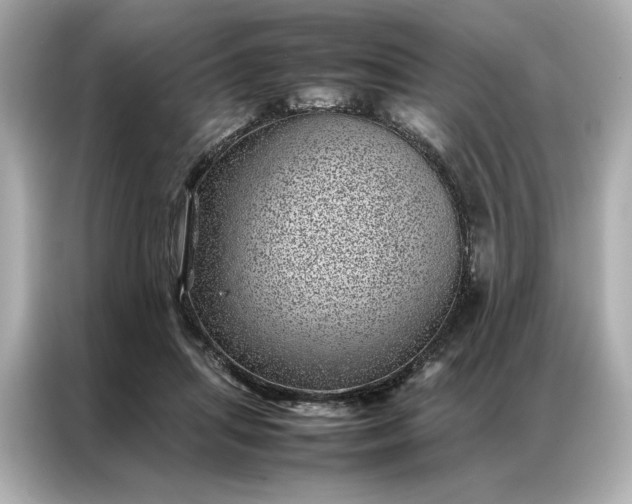 X0000086970455200704301301