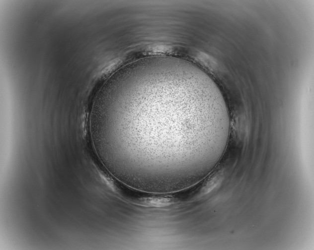 X0000086970462200704301301