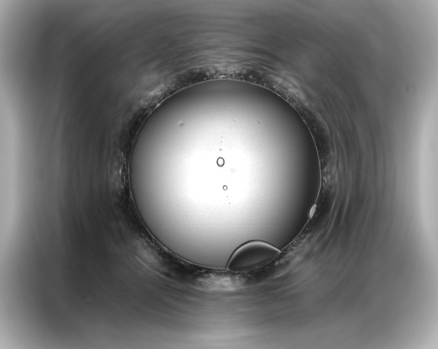 X0000086970464200704301301