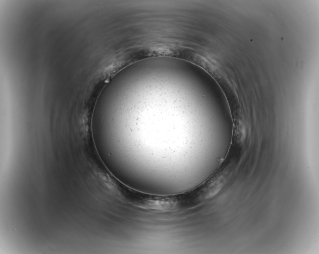 X0000086970466200704301301