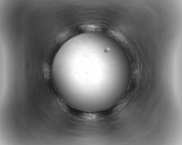 X0000086970469200704301301