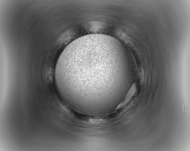 X0000086970470200704301301