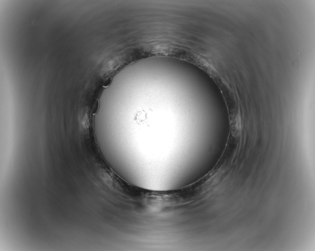 X0000086970472200704301301