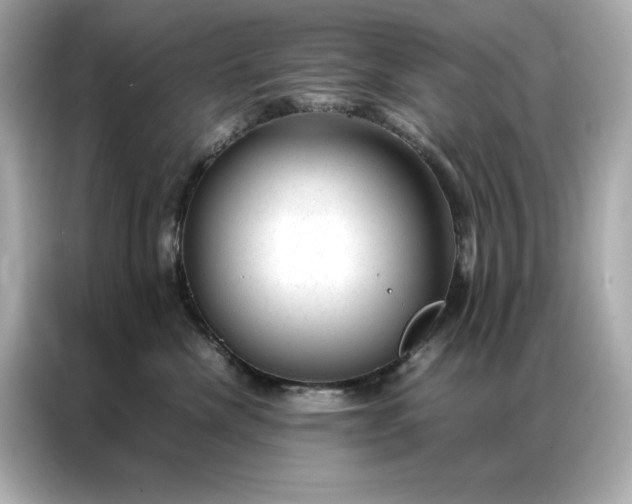 X0000086970476200704301301