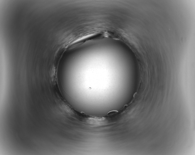 X0000086970480200704301301