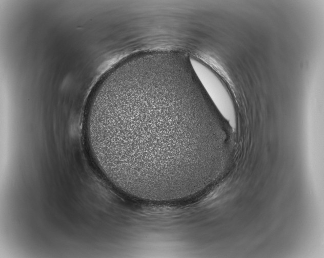 X0000086970483200704301300