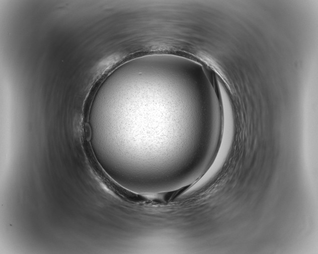 X0000086970485200704301300