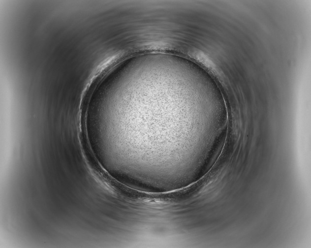 X0000086970486200704301300