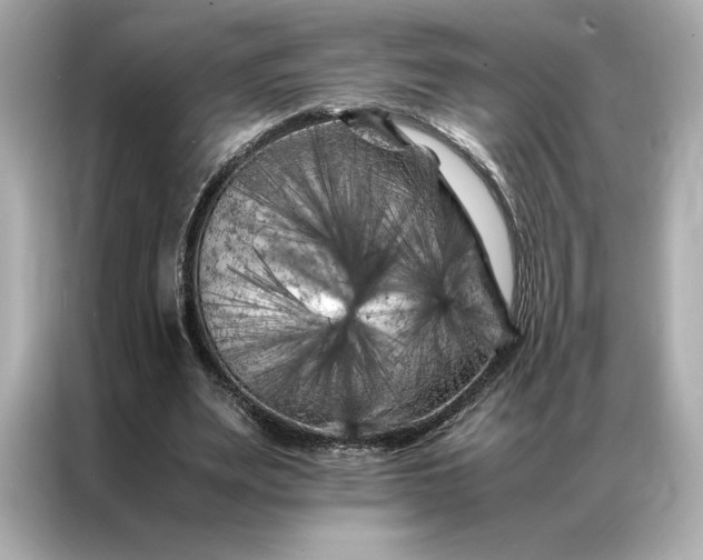 X0000086970487200704301300