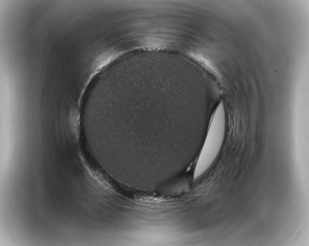 X0000086970488200704301300