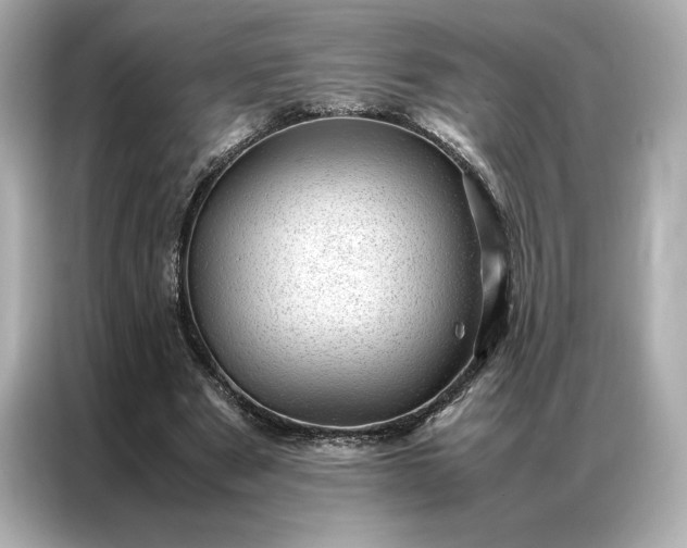 X0000086970489200704301300