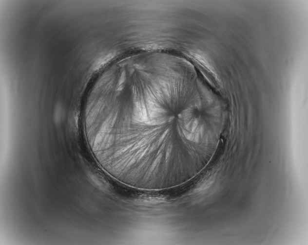 X0000086970491200704301300