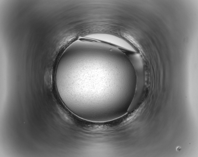 X0000086970493200704301300