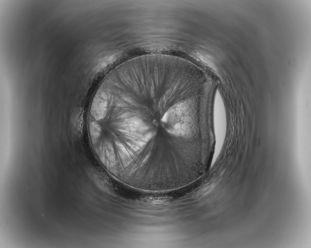 X0000086970495200704301300